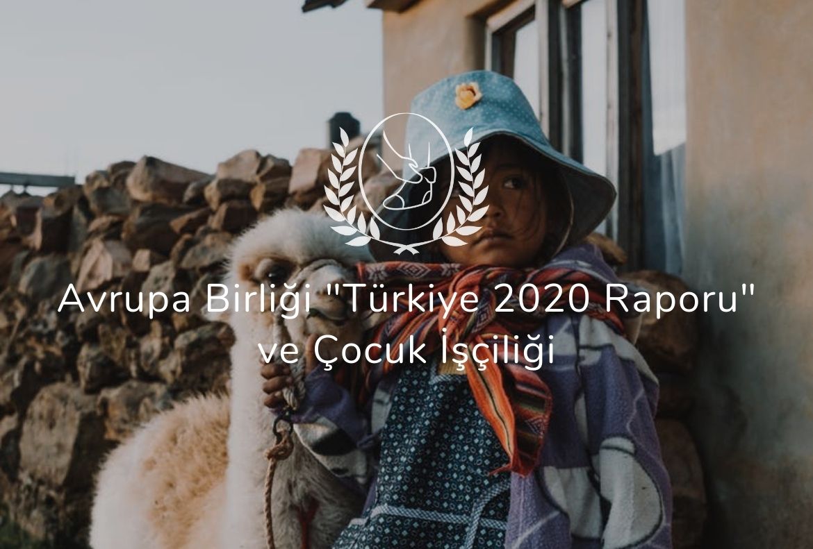 Avrupa Birliği “Türkiye 2020 Raporu” ve Çocuk İşçiliği