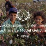 Çocuk İşçiliğinin Önlenmesi Araştırma ve Model Geliştirme Projesi
