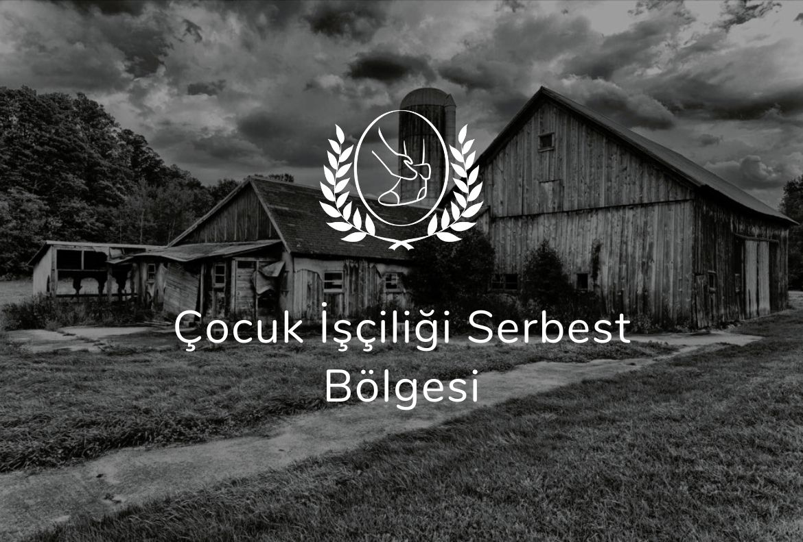 Çocuk İşçi Serbest Bölgesi