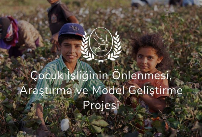 Çocuk İşçiliğinin Önlenmesi Araştırma ve Model Geliştirme Projesi